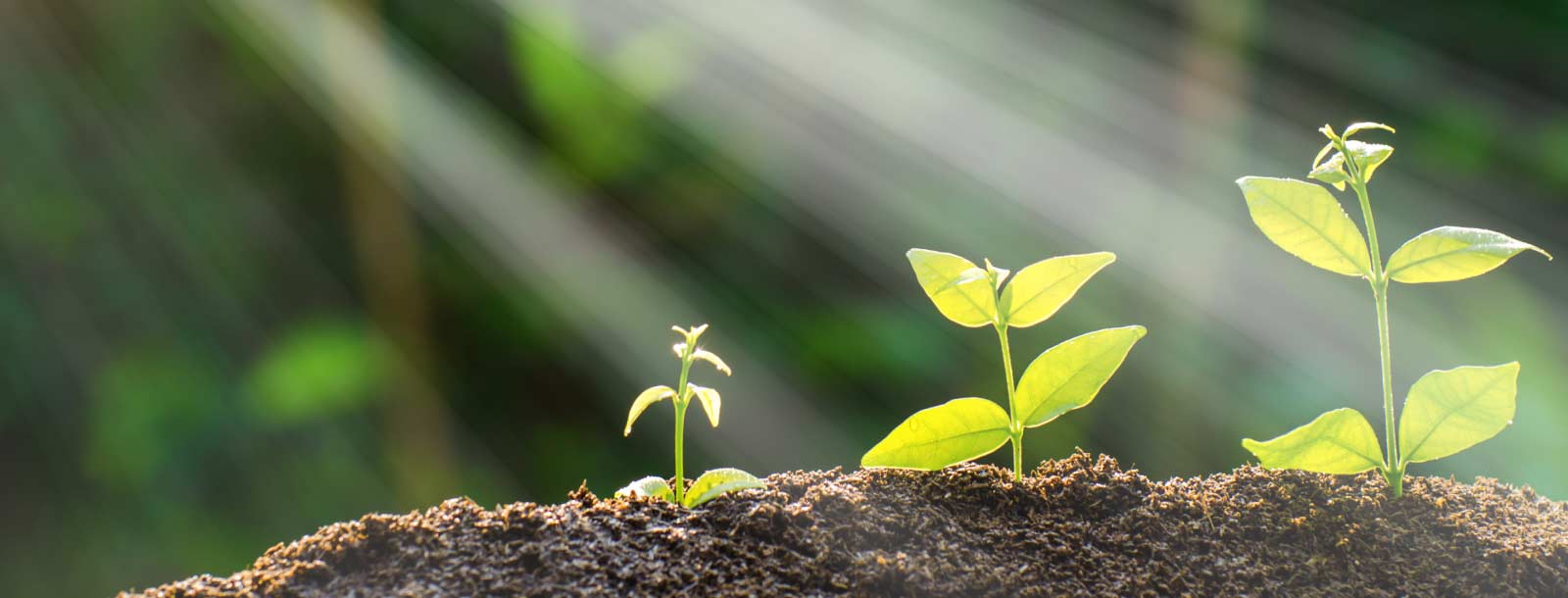 First Peoples Community Federal Credit Union | Join Today