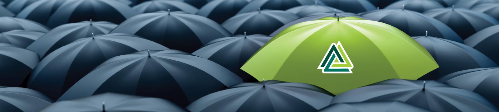 Sea of Black Umbrellas with One Lime Green Umbrella Image