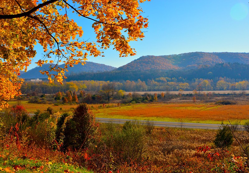 Fall leaves and the hills of Cresaptown, MD in the fall.