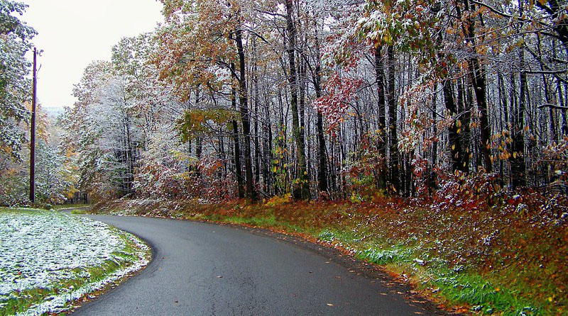 An early fall frost in Accident, MD.